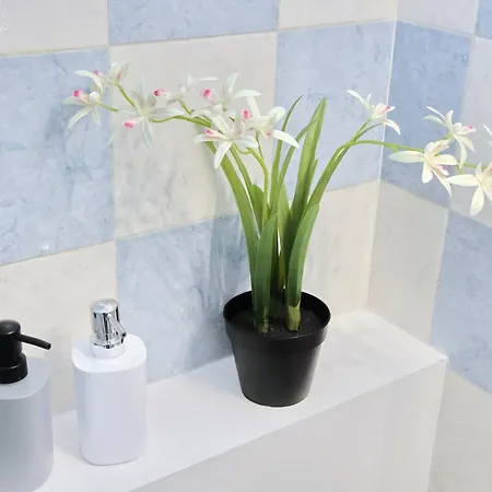 Konukevi Domus Sinuessa *