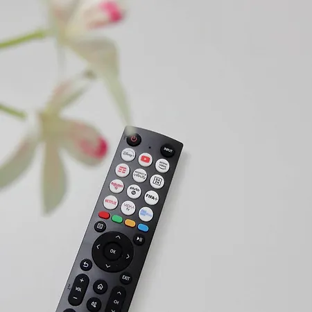 Domus Sinuessa روما