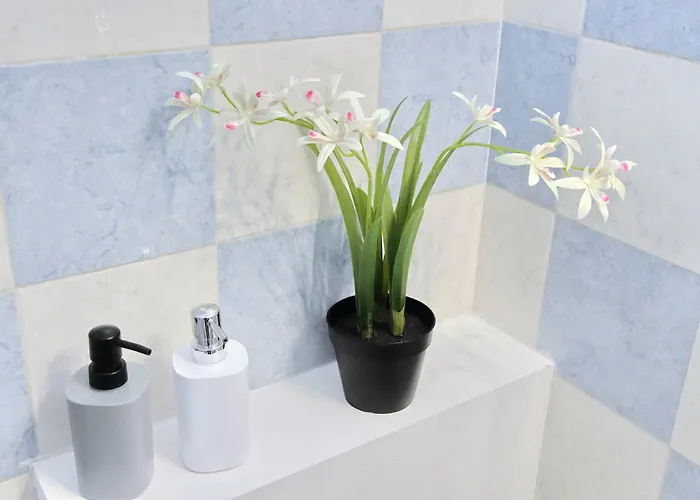 بيت ضيافة Domus Sinuessa *