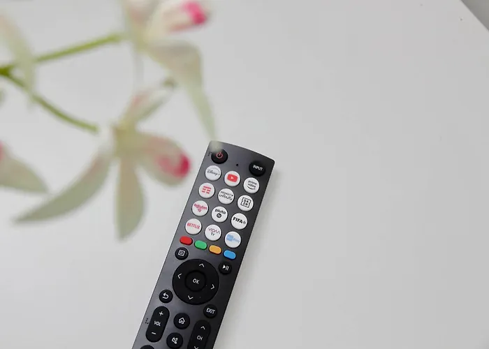 Domus Sinuessa روما